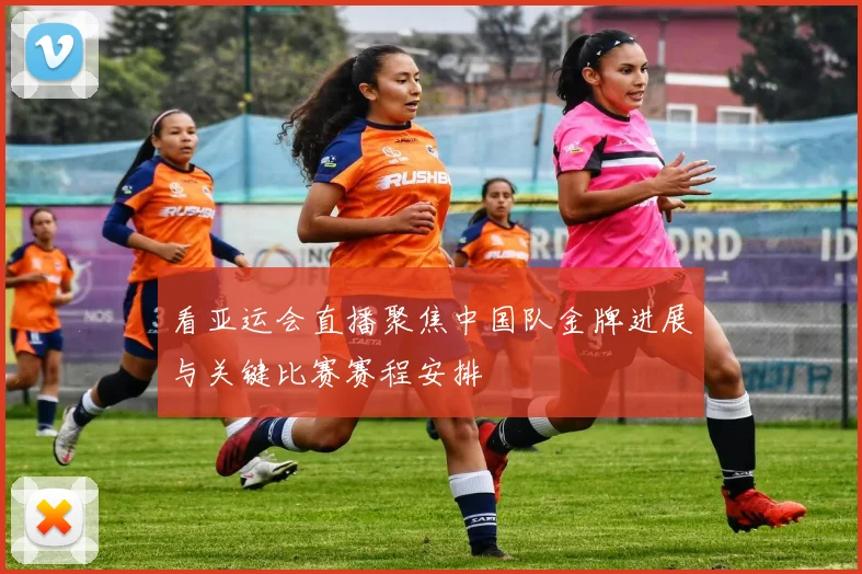 看亚运会直播聚焦中国队金牌进展与关键比赛赛程安排