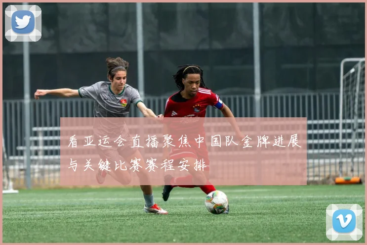 看亚运会直播聚焦中国队金牌进展与关键比赛赛程安排