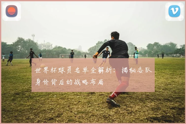 世界杯球员名单全解析:揭秘各队身价背后的战略布局