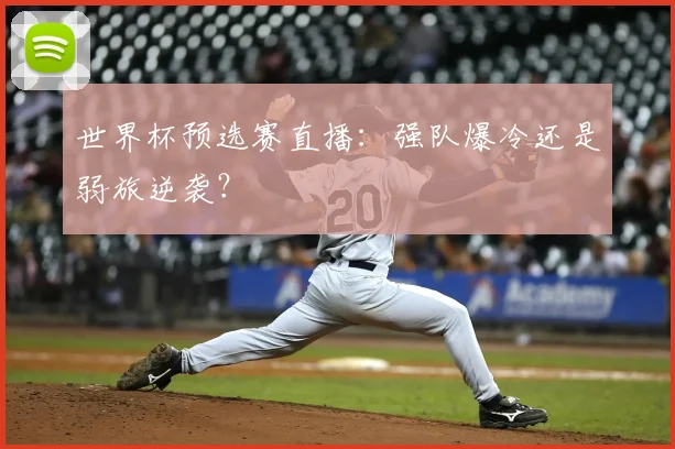 世界杯预选赛直播：强队爆冷还是弱旅逆袭？