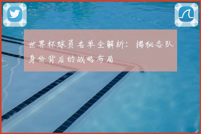 世界杯球员名单全解析：揭秘各队身价背后的战略布局