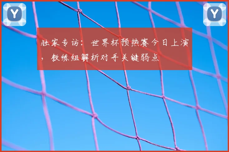独家专访：世界杯预热赛今日上演，教练组解析对手关键弱点